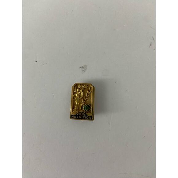 4h foods nutrition pin gold tone is - Picture 2 of 4